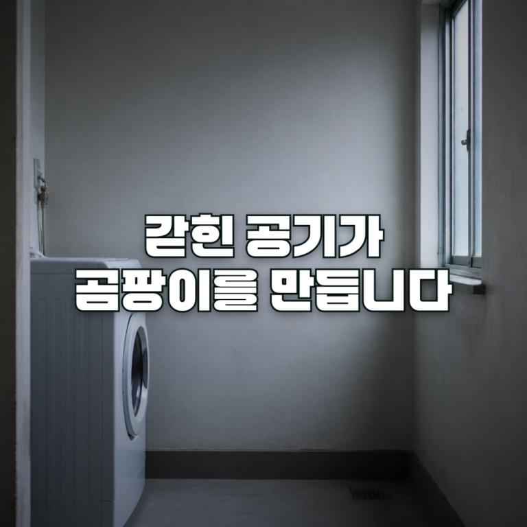 A dim, narrow utility room in an apartment, seen straight on: a washing machine pushed against a pale wall on the left,