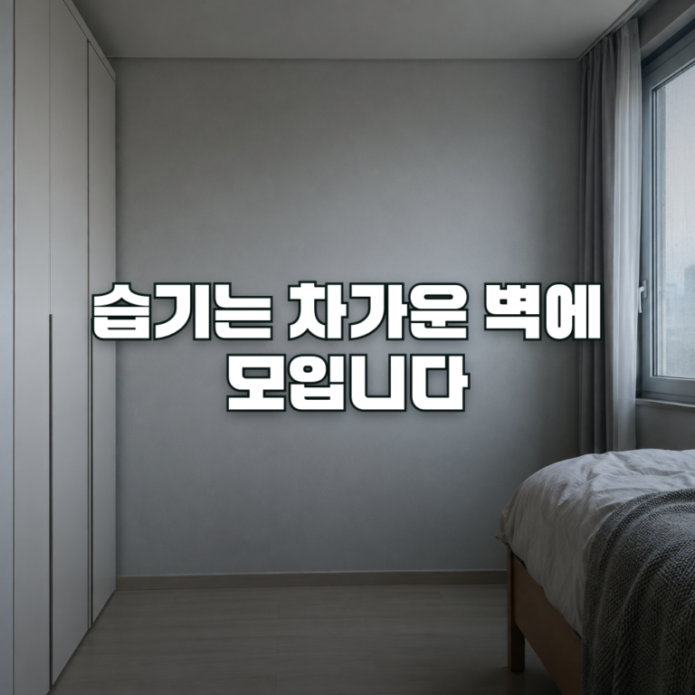 A quiet north-facing bedroom in a Korean apartment on a cloudy morning, soft diffused light through a window with faint